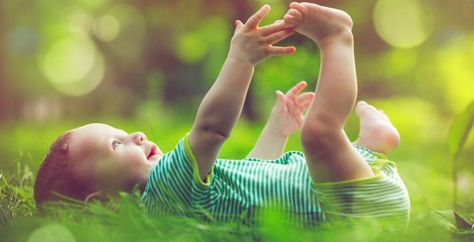 Soluções contra picadas de mosquitos, para si e para os seus filhos